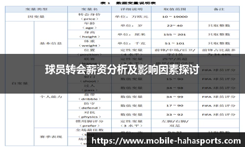 球员转会薪资分析及影响因素探讨