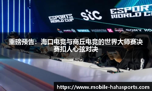 哈哈体育平台